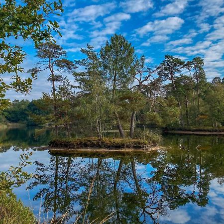 Bospareltjes Luxe Chalets Alleen Voor Recreatie Ойстервик Екстериор снимка
